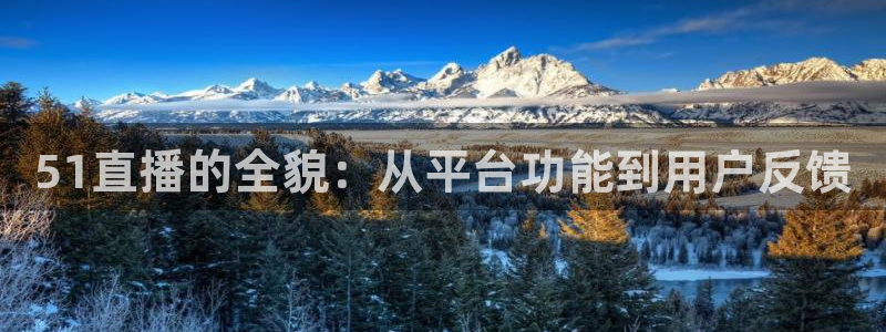 蜘蛛体育nba直播：51直播的全貌：从平台功能到用户反馈