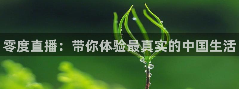 蜘蛛直播体育nba直播在线