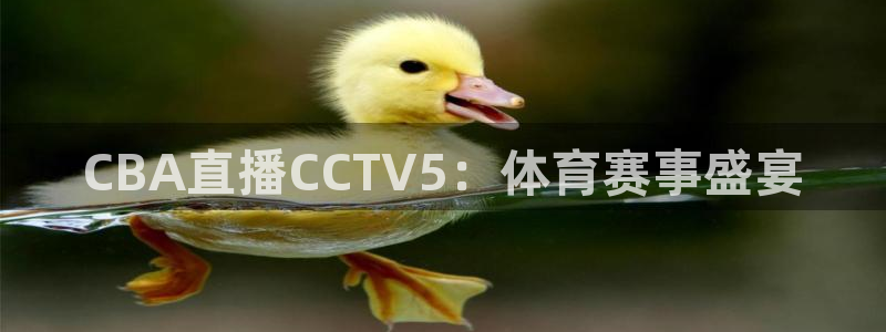 蜘蛛直播体育：CBA直播CCTV5：体育赛事盛宴