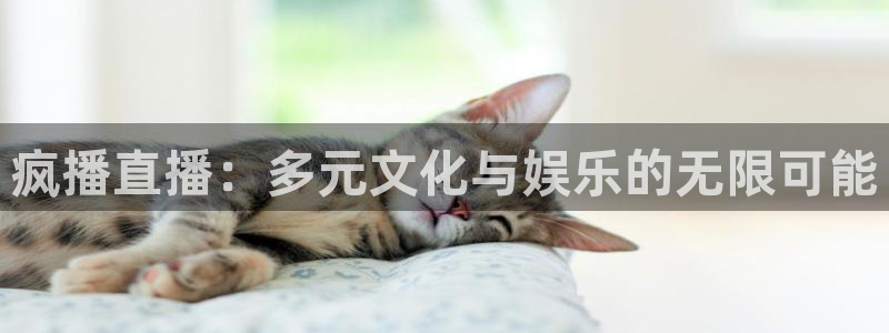 蜘蛛体育可可：疯播直播：多元文化与娱乐的无限可能