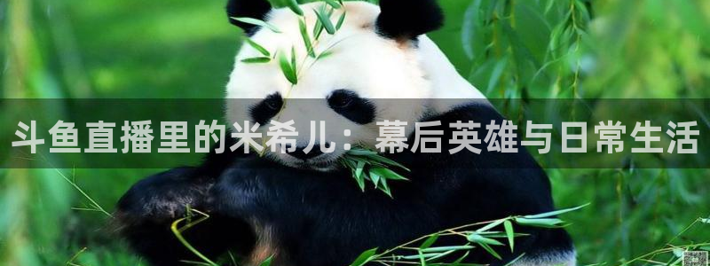 蜘蛛直播nba免费观看：斗鱼直播里的米希儿：幕后英雄与日常生活