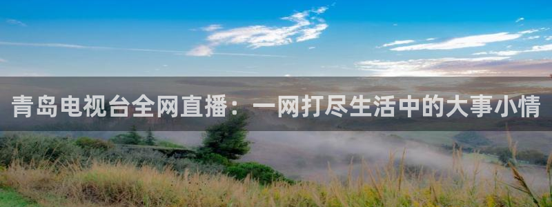 jrs直播nba(无插件)直播蜘蛛直播：青岛电视台全网直播：一网打尽生活中的大事小情