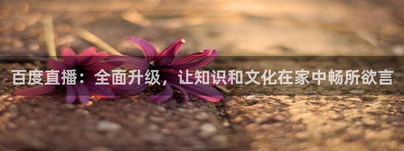 蜘蛛nba：百度直播：全面升级，让知识和文化在家中畅所欲言