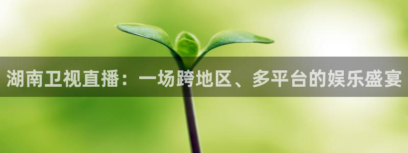 蜘蛛nba直播：湖南卫视直播：一场跨地区、多平台的娱乐盛宴