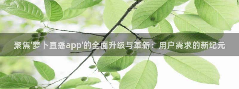 nba蜘蛛免费直播：聚焦\'萝卜直播app\'的全面升级与革新：用户需求的新纪元