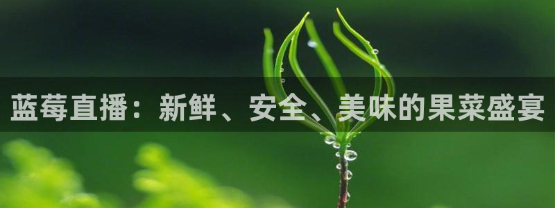 nba在线直播蜘蛛直播：蓝莓直播：新鲜、安全、美味的果菜盛宴