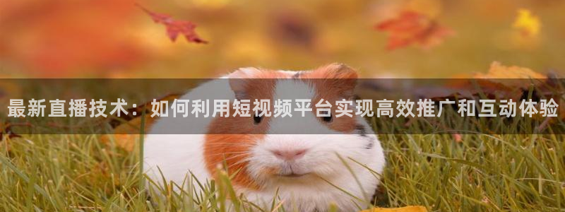 蜘蛛nba免费直播在线直播：最新直播技术：如何利用短视频平台实现高效推广和互动体验